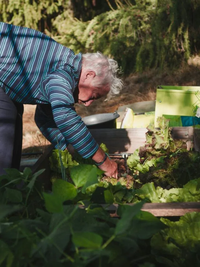 Jardinagem Terapêutica: Benefícios Físicos e Emocionais para Idosos